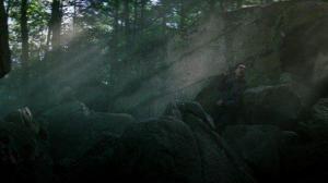 Кадры из фильма Море деревьев / The Sea of Trees (2015)