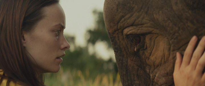 Кадр из фильма Луговая страна / Meadowland (2015)