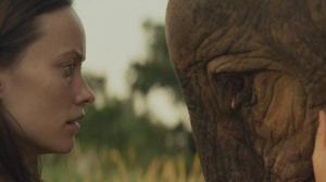 Кадры из фильма Луговая страна / Meadowland (2015)
