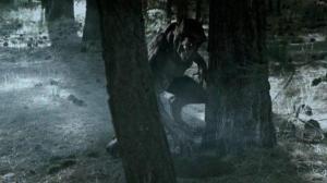 Кадры из фильма Восход тёмной луны / Dark Moon Rising (2015)
