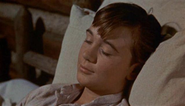 Кадр из фильма Старый Брехун / Old Yeller (1957)