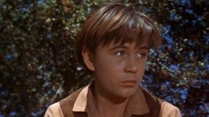 Кадры из фильма Старый Брехун / Old Yeller (1957)