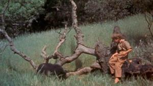 Кадры из фильма Старый Брехун / Old Yeller (1957)