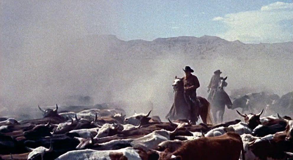 Кадр из фильма Отчаянный ковбой / Cowboy (1958)