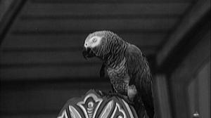 Кадры из фильма Тайна острова Бэк-Кап / Vynález zkázy (1958)