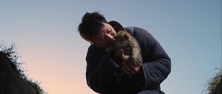 Кадр из фильма Тотем волка / Wolf Totem (2015)