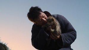 Кадры из фильма Тотем волка / Wolf Totem (2015)