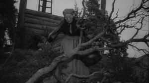 Кадры из фильма Лицо / Ansiktet (1958)