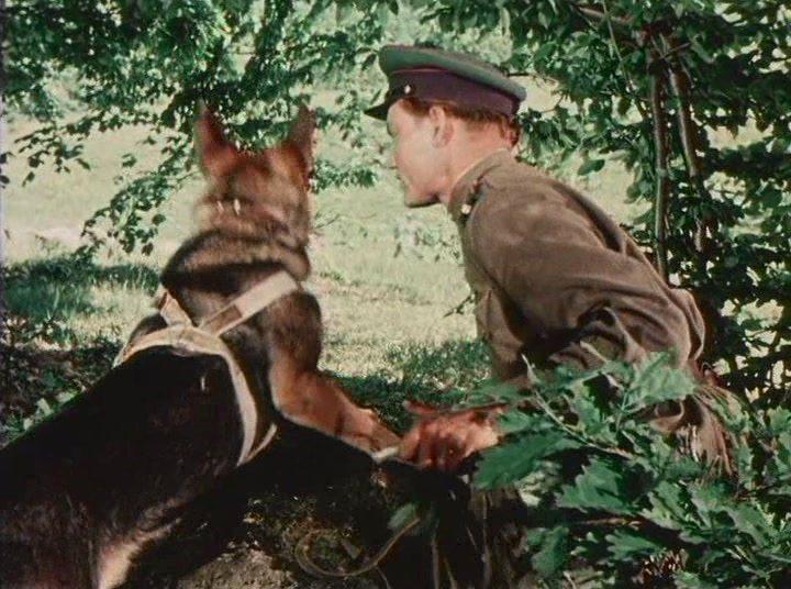 Кадр из фильма Над Тиссой (1958)
