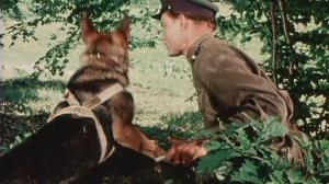 Кадры из фильма Над Тиссой (1958)