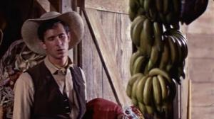 Кадры из фильма Зеленые поместья / Green Mansions (1959)