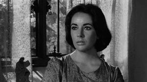 Кадры из фильма Внезапно, прошлым летом / Suddenly, Last Summer (1959)