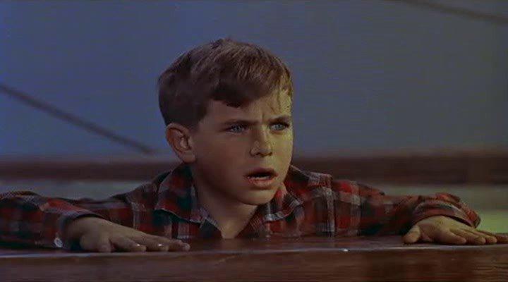 Кадр из фильма Мальчик и пираты / The Boy and the Pirates (1960)