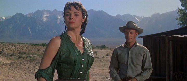 Кадр из фильма Станция Команч / Comanche Station (1960)