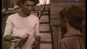 Кадры из фильма Мальчик и голубь (1961)