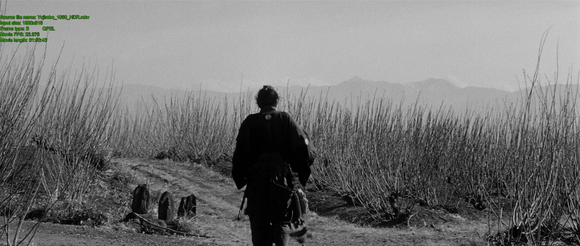 Кадр из фильма Телохранитель / Yojimbo (1961)