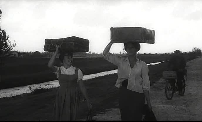 Кадр из фильма Чочара / La ciociara (1960)