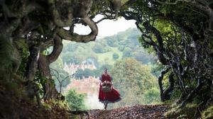 Кадры из фильма Чем дальше в лес... / Into the Woods (2014)