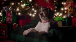 Кадры из фильма В канун Рождества / One Christmas Eve (2014)