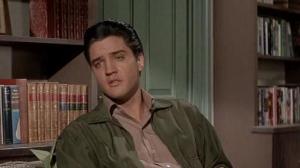 Кадры из фильма Одиночка / Wild In The Country (1961)