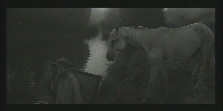 Кадр из фильма Любушка (1961)