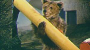 Кадры из фильма Мишель и Мишутка (1961)