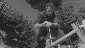 Кадры из фильма В воде, в которой пузыри / Dans l'eau qui fait des bulles (1961)