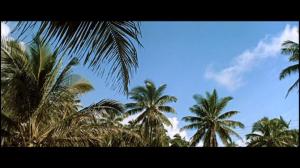 Кадры из фильма Голубые гавайи / Blue Hawaii (1961)