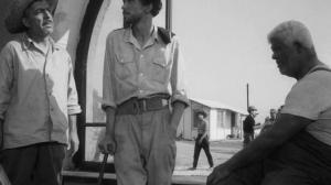 Кадры из фильма Черная чайка (1962)