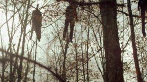 Кадры из фильма Домик на дереве / Treehouse (2014)