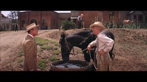 Кадры из фильма Музыкант / The Music Man (1962)