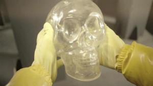 Кадры из фильма Хрустальные черепа / Crystal Skulls (2014)