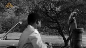 Кадры из фильма Полевые лилии / Lilies of the Field (1963)