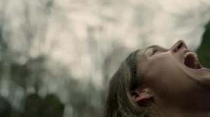 Кадры из фильма Глушь / Backcountry (2014)