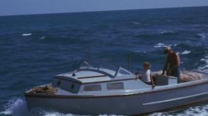 Кадры из фильма Флиппер / Flipper (1963)