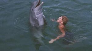 Кадры из фильма Флиппер / Flipper (1963)