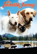 Невероятное путешествие / The Incredible Journey (1963)