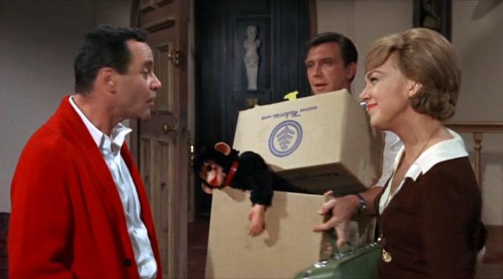 Кадр из фильма Под деревом любви / Under the Yum Yum Tree (1963)