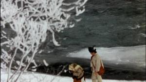 Кадры из фильма Тени забытых предков / Тiнi забутих предкiв (1964)