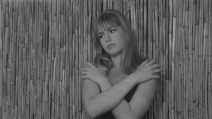 Кадры из фильма Тоска / La Noia (1964)