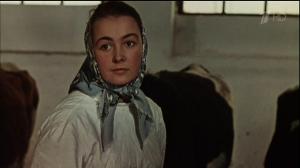 Кадры из фильма Стежки-дорожки (1964)