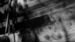 Кадры из фильма Пропало лето (1964)