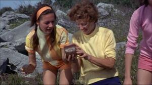 Кадры из фильма Новые приключения Флиппера / Flipper's New Adventure (1964)