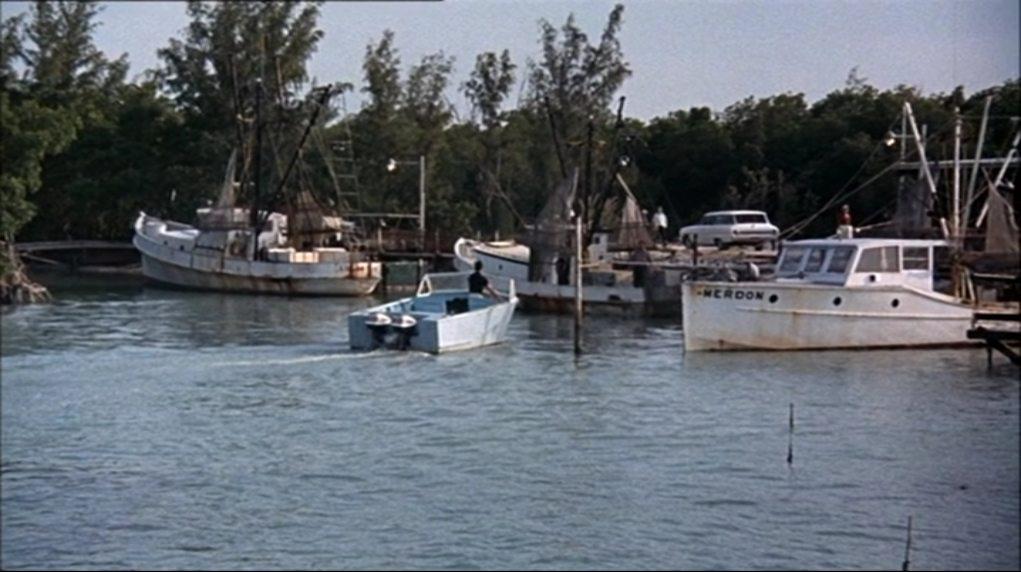Кадр из фильма Новые приключения Флиппера / Flipper's New Adventure (1964)