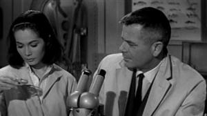 Кадры из фильма Судьба-охотник / Fate Is the Hunter (1964)
