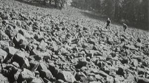 Кадры из фильма Алмазы ночи / Démanty noci (1964)