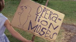 Кадры из фильма Малютка Чорвен, Боцман и Мозес / Tjorven, Batsman, and Moses (1964)
