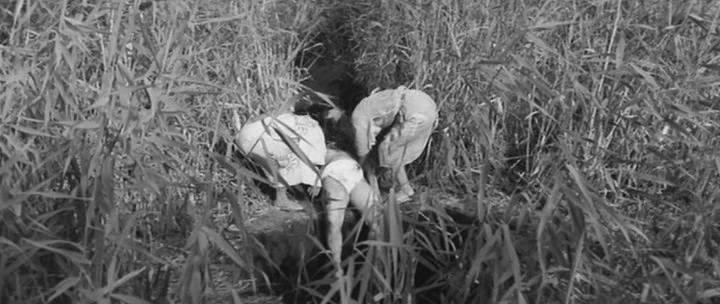 Кадр из фильма Женщина-демон (Чёртова баба) / Onibaba (1964)