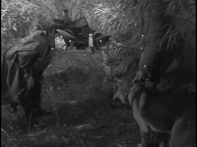 Кадр из фильма Пограничная тишина (1965)
