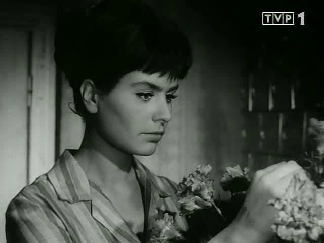 Кадр из фильма Влюбленный Пингвин / Pingwin (1965)